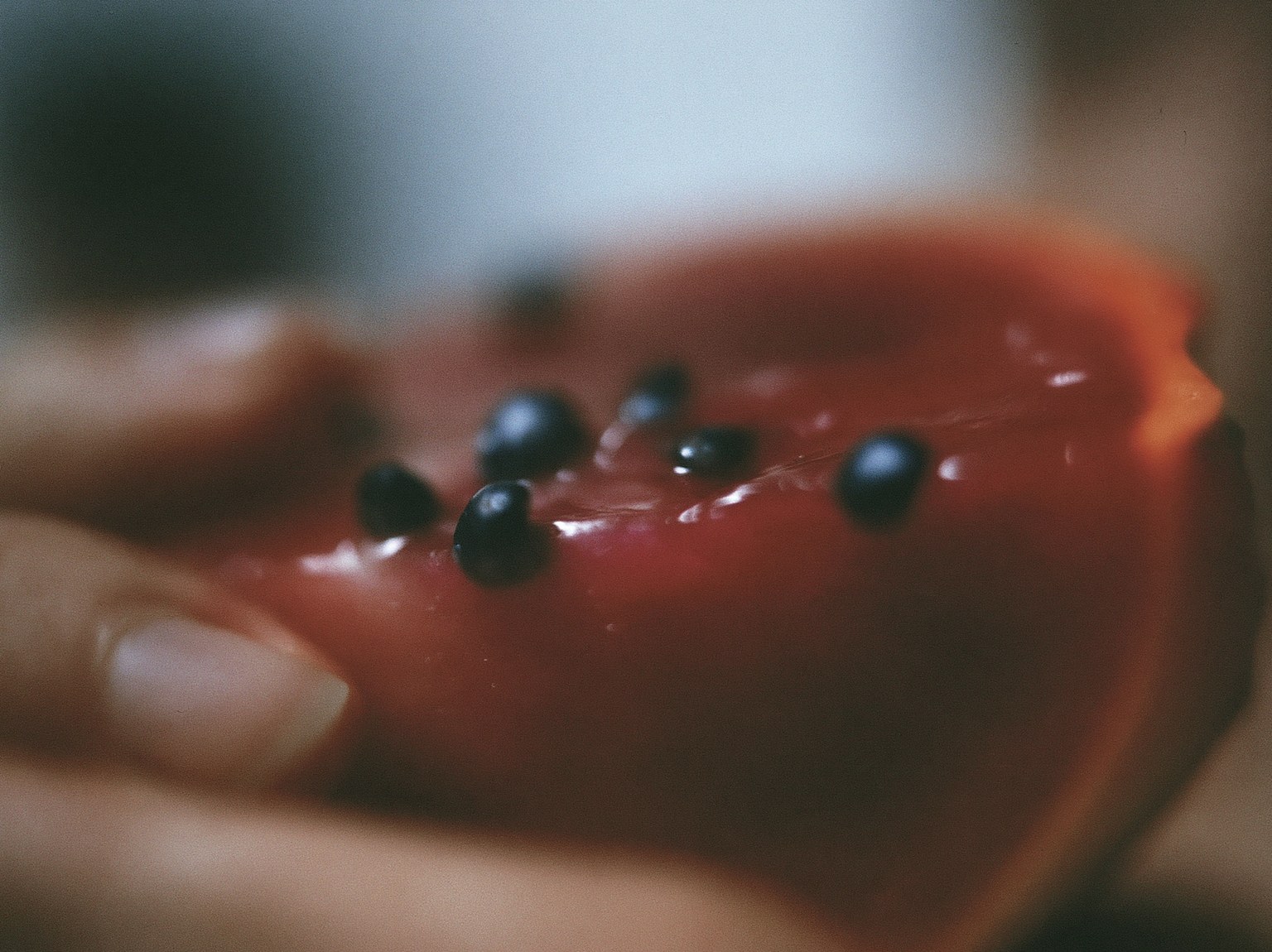Dark, grainy macro photograph of wet prickly pear flesh and glossy black seeds.